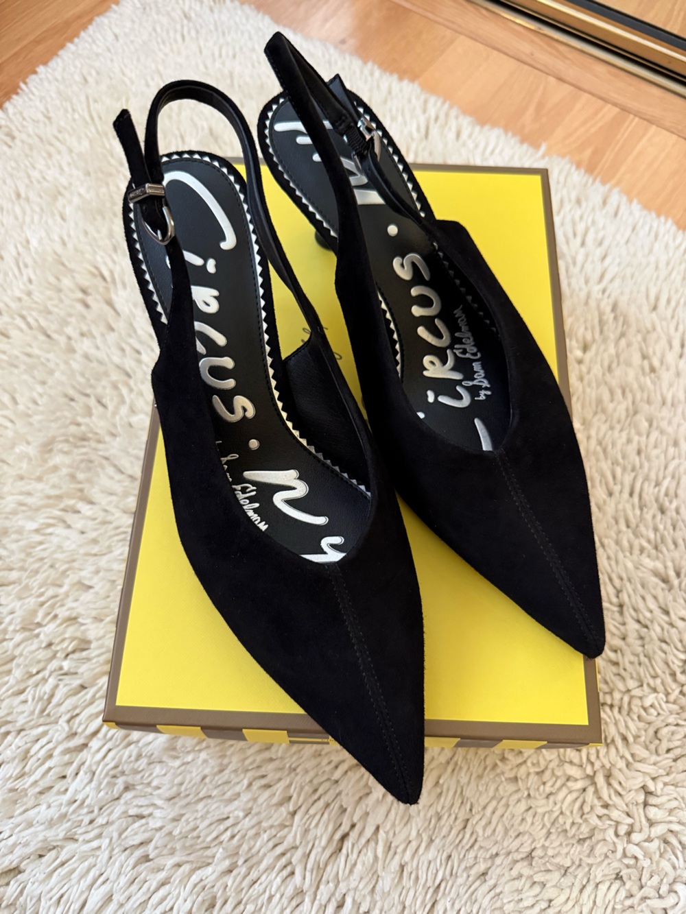 Circus by Sam Edelman Black Pointed Slingback Flats